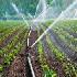 تجهیز 20 هزار هکتار زمین کشاورزی به سیستم های نوین آبیاری ظرف 2 سال آینده