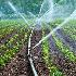 افزایش تولید محصولات مهم کشاورزی با اجرای پروژه های آبیاری نوین