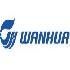 شرکت Wanhua Chemical  تولید PVC در چین را متوقف کرد